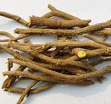 Scutellaria baicalensis root extract powder