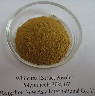 Instant White Tea Extract Powder