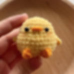 yellow chick