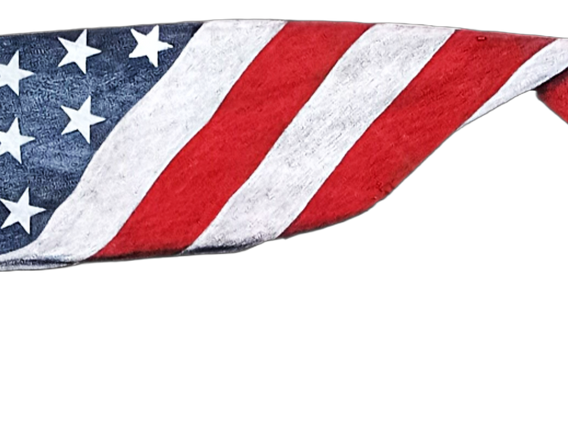 American flag bg removed enhancements.png