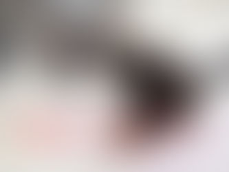 【決定しました】若猫ちゃんの里親募集2022⑦