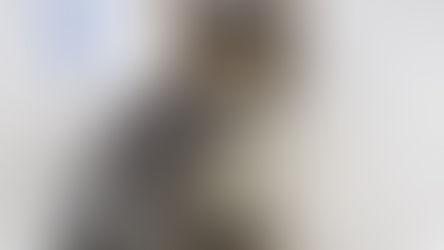 子猫ちゃんの里親募集2025④