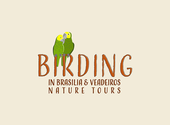 birding.jpg