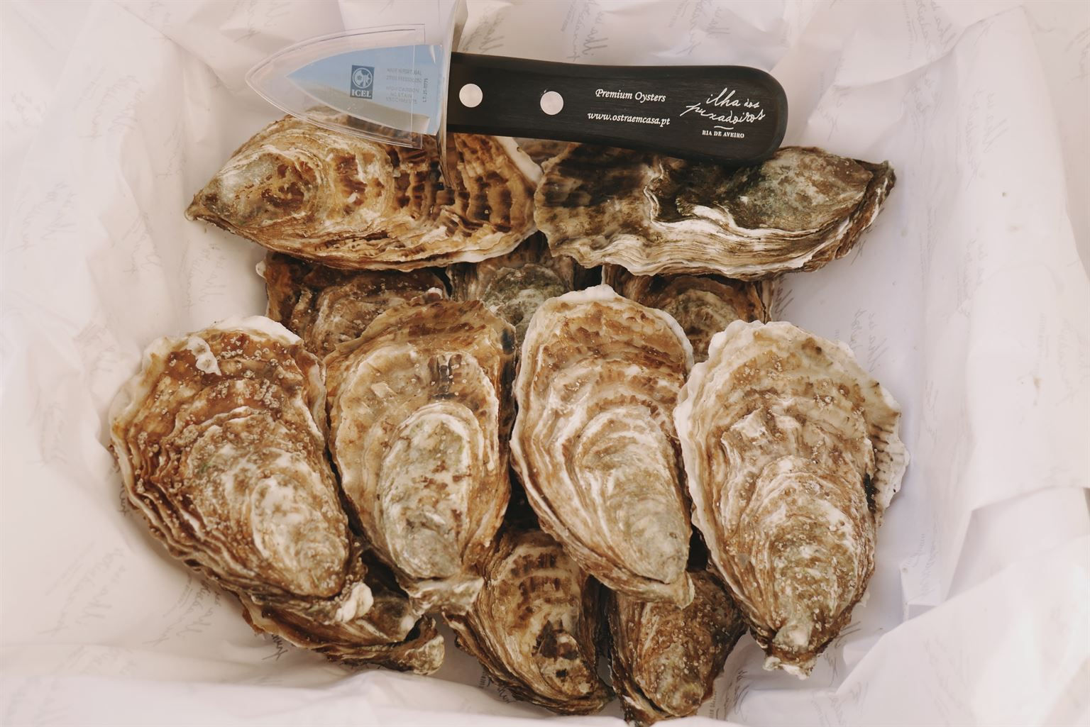 Pack 4Kg Special Oysters