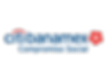 Citibanamex_CompromisoSocial-02 (1).png