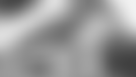 Wandeling langs de dijk - 6 - Bosch