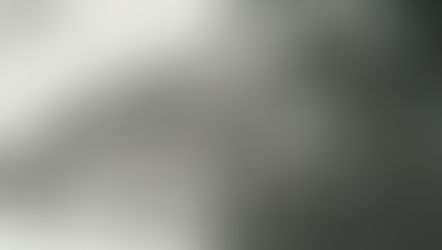 Herinneringen aan Papendrecht - deel 4 - De familie Dekkers