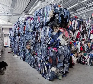 Keisha Nur Afifah.webp