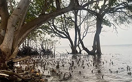 WhatsApp Image 2025-12-07 at 20.24.26_84d7ba49.jpg