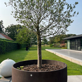 Cosapots bloempot