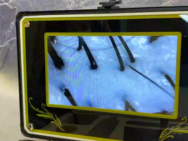 Step4 00_00_00-00_00_30~1.gif