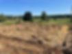 IMG_5601.jpeg