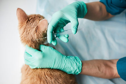 Vaccinations