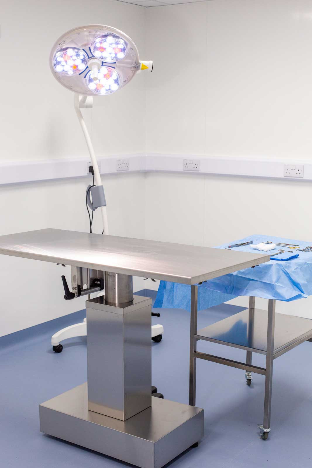 Surgery service at Farnham Veterinary Hospital