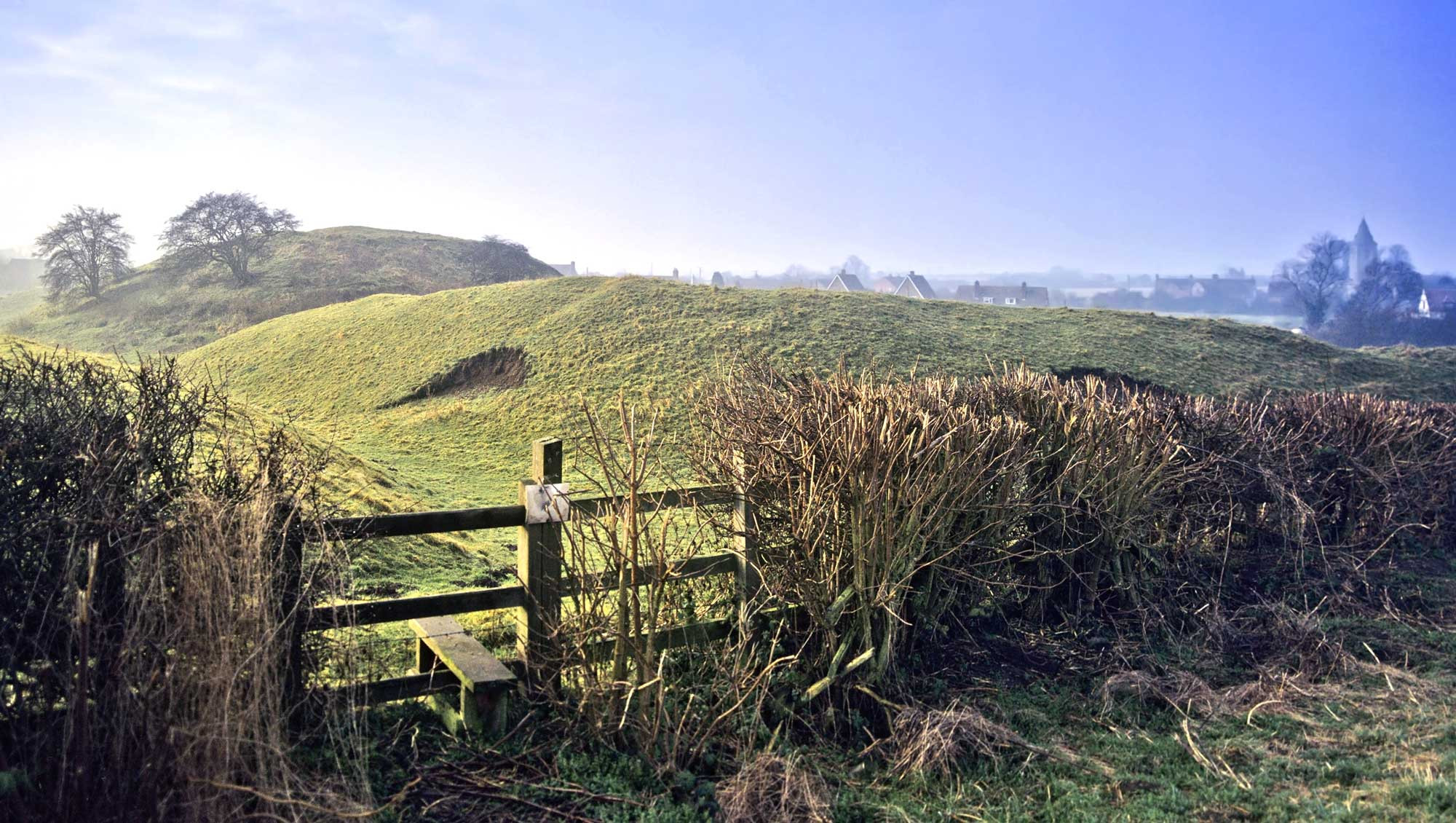 Lutterworth Practice Cross Counties Farm Vets