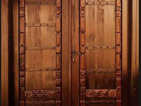 THE SHUT DOOR