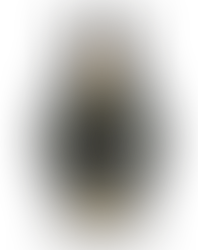 Headphone Activist - Zephyr