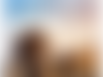 The Americas: Complete Limited Series [4K UHD]