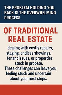 "Smiling real estate expert from NYX REAL ESTATE guiding a homeowner through a simple plan, with visual elements in red" .