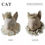 サムネイル： 『販売終了/次回の販売をお楽しみに』【Pre-order】Elegant Cat