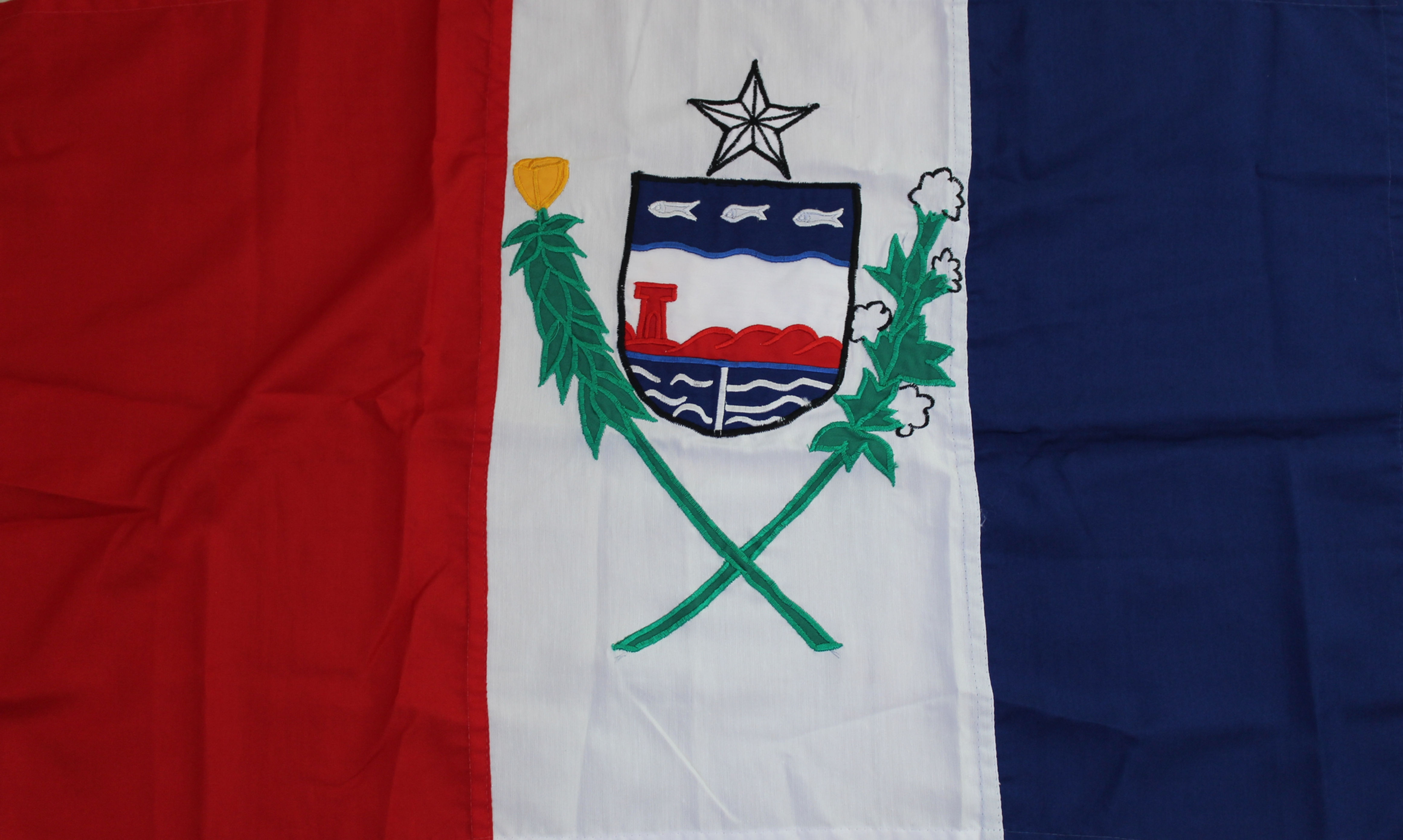 Drapeau : Alagoas