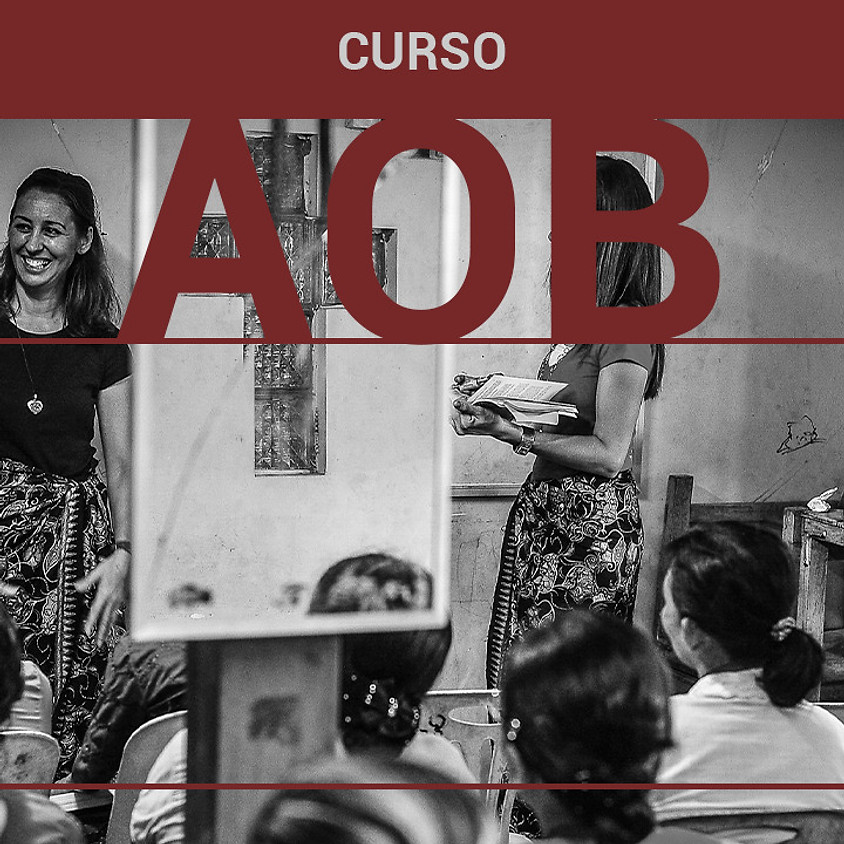 Curso AOB IBN Erechim