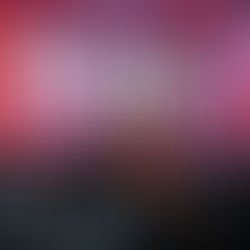 La pasteur Angela Valadão partage sa vision du programme de 24 heures de Gideon lors d'une réunion avec l'église de Lagoinha à Lisbonne.