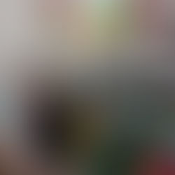 Começam os trabalhos da primeira turma dos Gideões Mirins da IBL Jaqueline