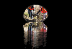 Untitled-1.jpg