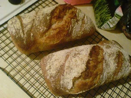 Bread