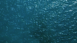 MVAS_Getaway-FB.gif