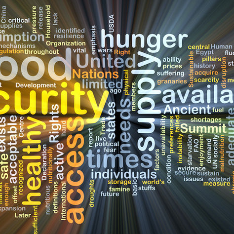 There is more to food insecurity than food deserts