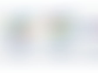 Coordinated Impact or Collective Impact?