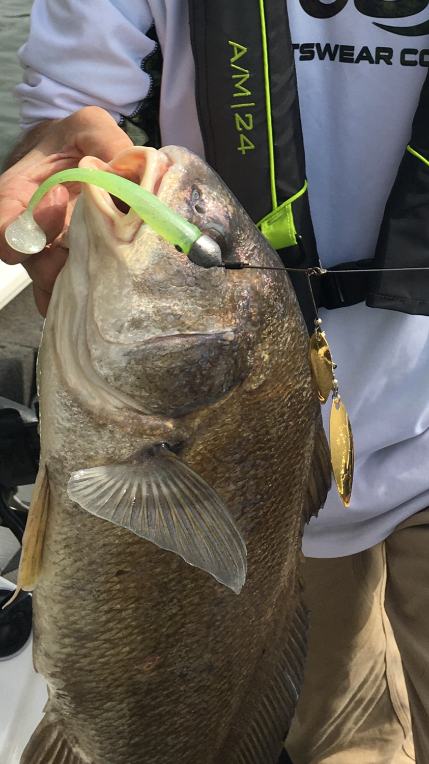 Thumbnail: HD “Tailrace” Swimbait Harness