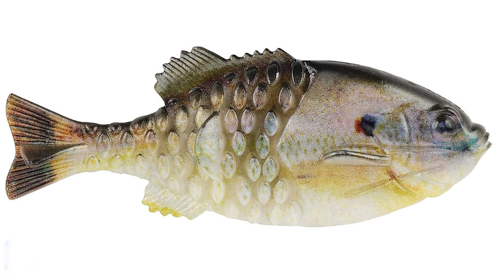Thumbnail: Berkley Powerbait HD Gilly