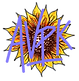 AVPK sunflower logo