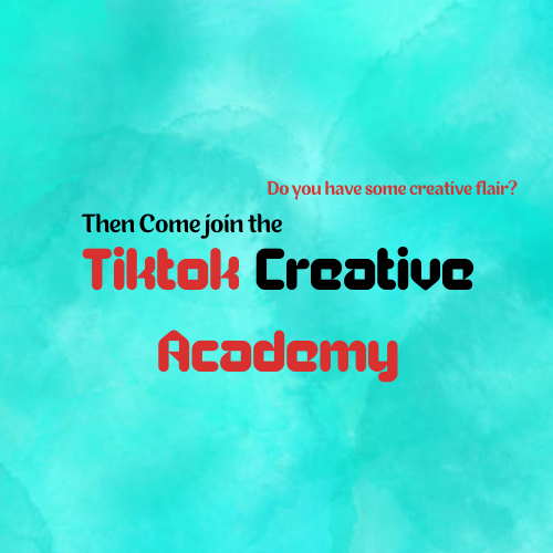 TikTok Logo(1)