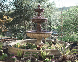 Mackenzie & Ryan: Ty Pentecost Photo