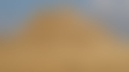 Il suolo color sabbia...