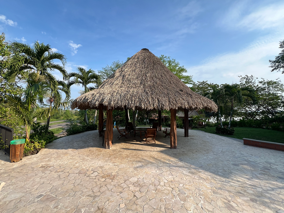 his image depicts a large, open-air palapa structure with a thatched roof supported by wooden beams. The palapa is set on a stone-paved patio, surrounded by lush tropical greenery, including palm trees and various plants. The serene setting, with clear blue skies above, evokes a relaxed and inviting atmosphere, perfect for enjoying the outdoors in comfort and shade. The chairs underneath suggest it is a social gathering spot, ideal for relaxing or hosting small group activities in a tropical environment
