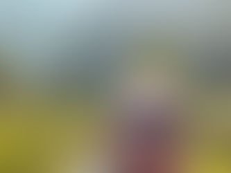 From Sospel to Nice: A Motorcycle Memoir from the South of France