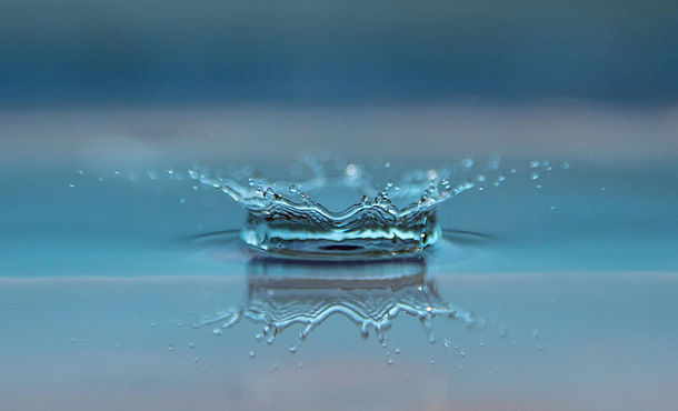 pexels-pixabay-45229 (1).jpg