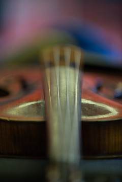 MK5D3_03930.jpg