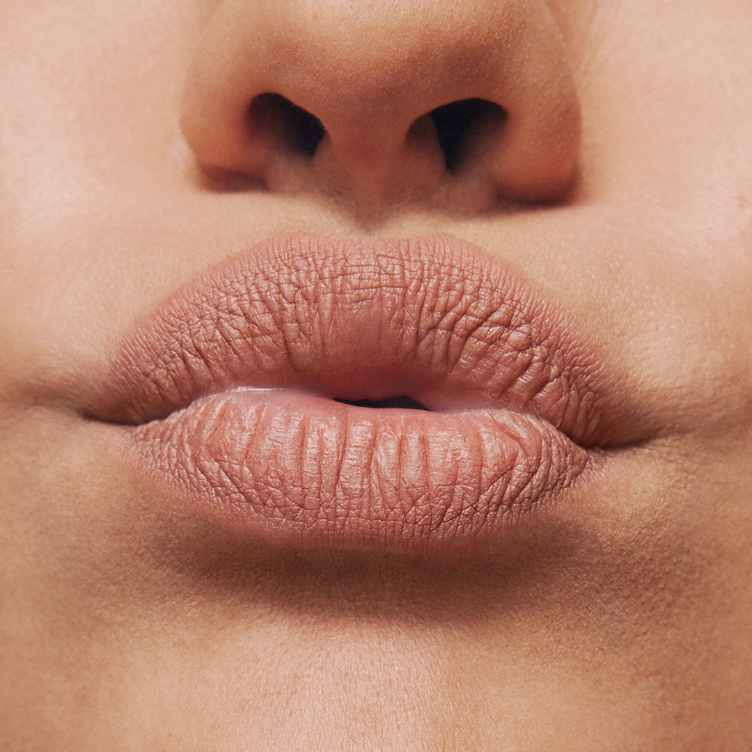 Exa-Social-1080x1080-CloseUp-All.gif