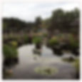 DenverBotanicGardens_13.JPG