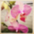 DenverBotanicGardens_14.JPG