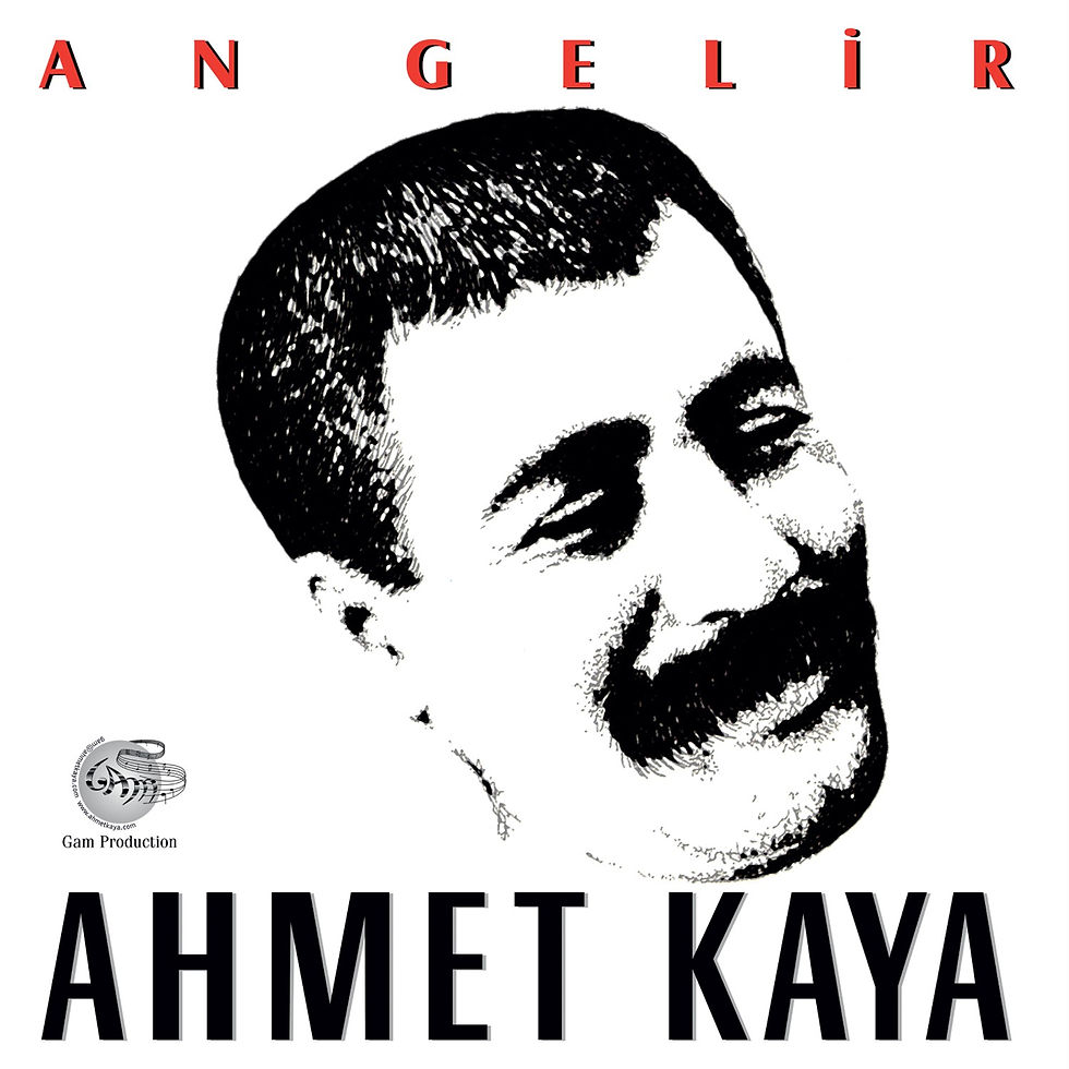 Ahmet Kaya - An Gelir plak