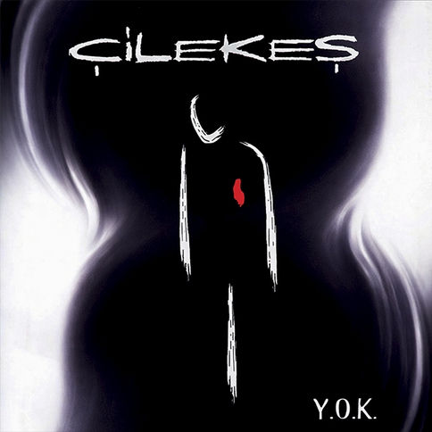 Çilekeş - Y.O.K. plak