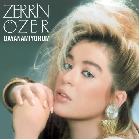 Zerrin Özer - Dayanamıyorum plak