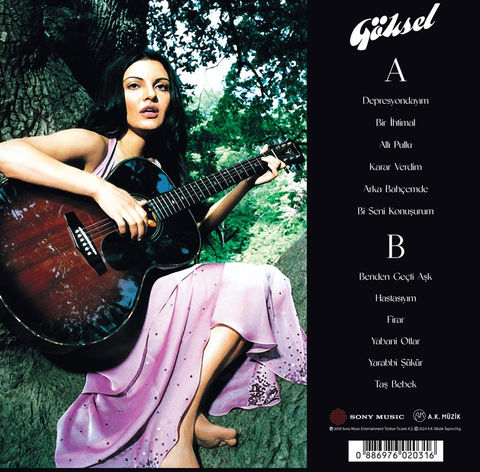 Göksel - En İyileri (2001 - 2007) plak